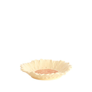 light-living-schaal-o27x45-cm-severa-licht-oranje-oranje-3.jpg