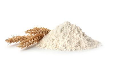 zeeuwse-bloem-1-kilo-1.jpg